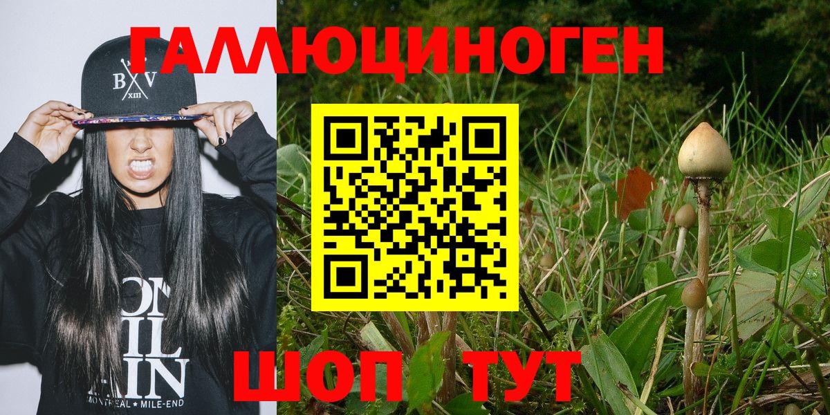 Нижнекамск  Галлюциногенные грибы мухоморы  Вход с VPN 