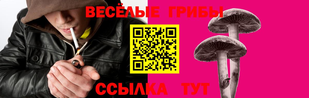 Псилоцибиновые грибы MAGIC MUSHROOMS Нижнекамск