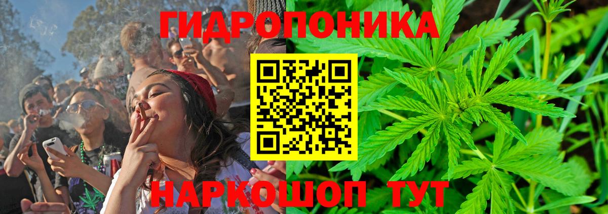 Нижнекамск  Каннабис индика  Канабис семена  Шишки марихуана планчик  Вход с VPN 